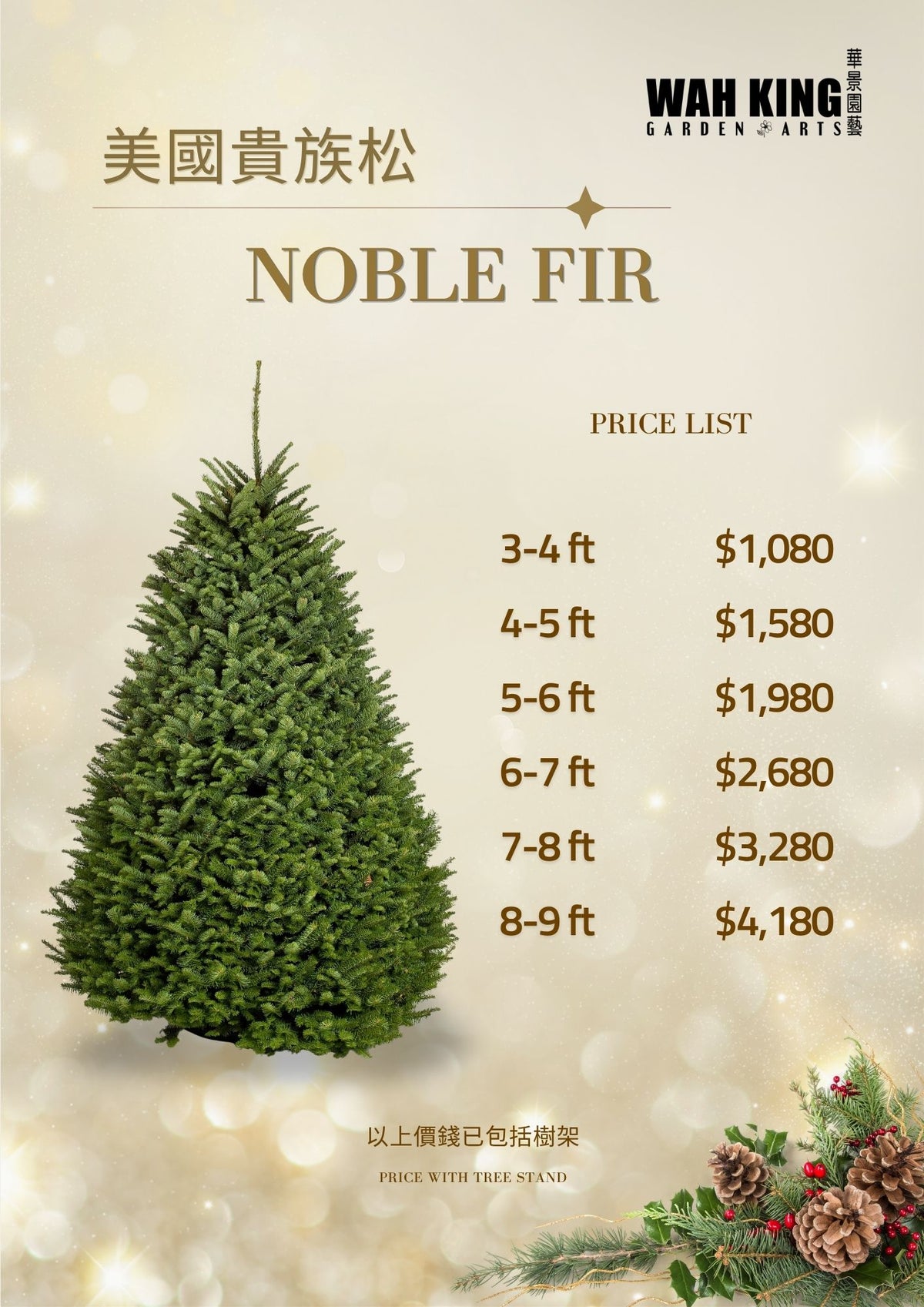 貴族松 Noble Fir (美國進口)